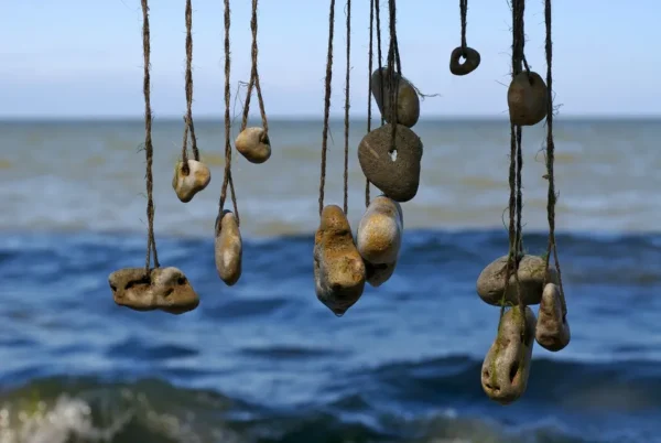 A bunch of nuts hanging from strings over the water